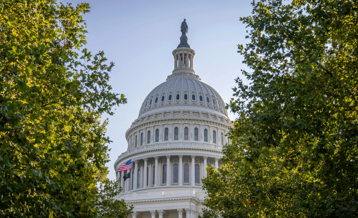The Capital Rotunda framed by some green and yellow foliage